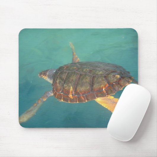 Midden-Amerika, Panama, Bocas Del Torro Muismat (Met muis)