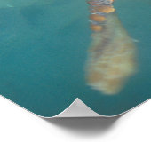 Midden-Amerika, Panama, Bocas Del Torro Poster (Hoek)