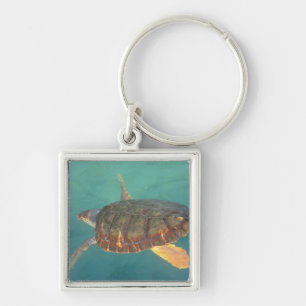 Midden-Amerika, Panama, Bocas Del Torro Sleutelhanger