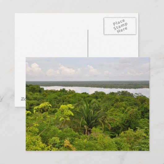 Midden-Amerika regenwoud in Belize Briefkaart (Voorkant / Achterkant)