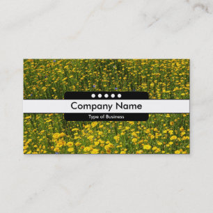Midden band 5 Spots - Bed of Yellow Daisies Visitekaartje