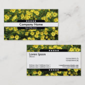 Midden band 5 Spots - Gele Daisies Visitekaartje (Voorkant / Achterkant)