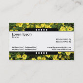 Midden band 5 Spots - Gele Daisies Visitekaartje (Achterkant)