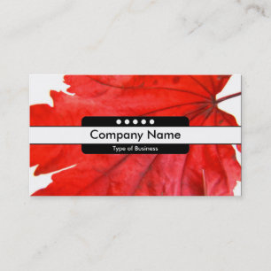 Midden band 5 spots visitekaartje