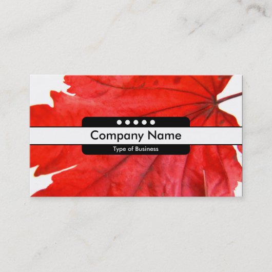 Midden band 5 spots visitekaartje (Voorkant)