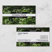 Midden band 5 Spots - Wilde knoflook Visitekaartje (Voorkant / Achterkant)