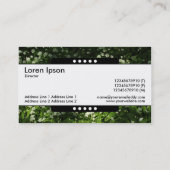 Midden band 5 Spots - Wilde knoflook Visitekaartje (Achterkant)