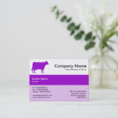 Midden band kleuren - Paars - Koe Visitekaartje (Staand voorkant)