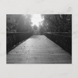 Midden Bridge Sequel - Zwart-wit Briefkaart