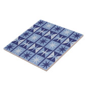 Midden-eeuwse moderne stervormige patroon in tinte tegeltje (Zijkant)