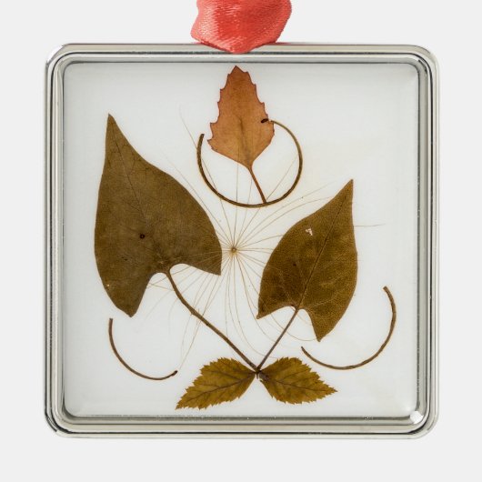 Midden-euwse moderne persbladontwerp metalen ornament (Voorkant)