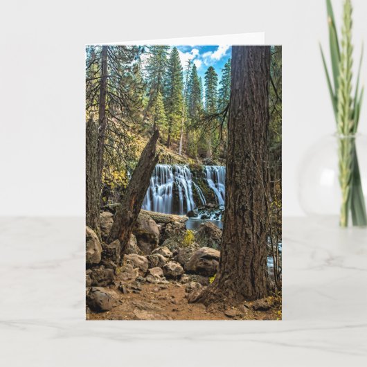 MIDDEN HERFSTEN OP de RIVIER McCLOUD Kaart (Voorkant)