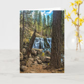 MIDDEN HERFSTEN OP de RIVIER McCLOUD Kaart (Gele Bloem)