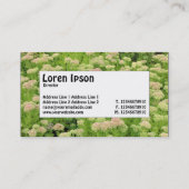 Midden Label - Blauwe Herfst (Achterkant)