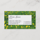 Midden-label - Daffodils/Narcissus Visitekaartje (Achterkant)