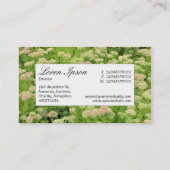 Midden-label - Sedum (najaargang) Visitekaartje (Achterkant)