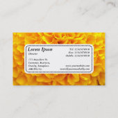Midden Label v5 - Chrysanthemum (Achterkant)