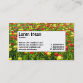 Midden-label - Zee Tulpen II Visitekaartje (Achterkant)