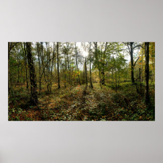 Midden najaar, poster