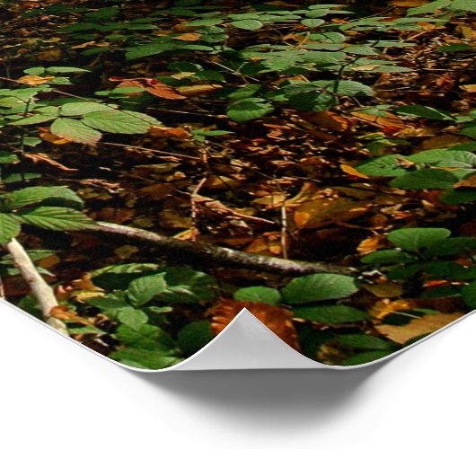 Midden najaar, poster (Hoek)