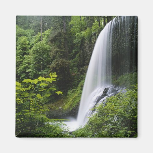 Midden Noord-waterval, Silver Falls State Park, Magneet (Voorkant)