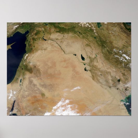 Midden-Oosten Poster (Voorkant)