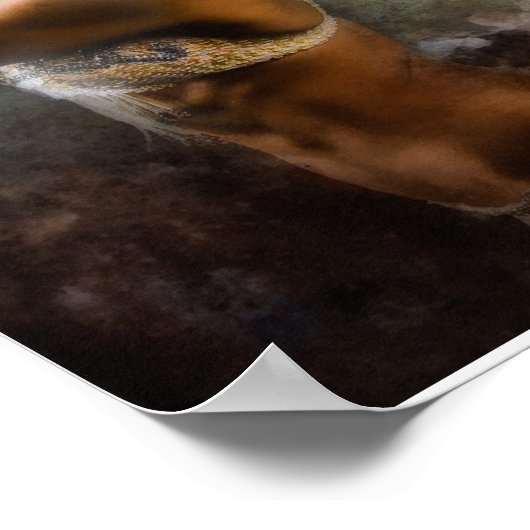 Midden-Oostendans Poster (Hoek)