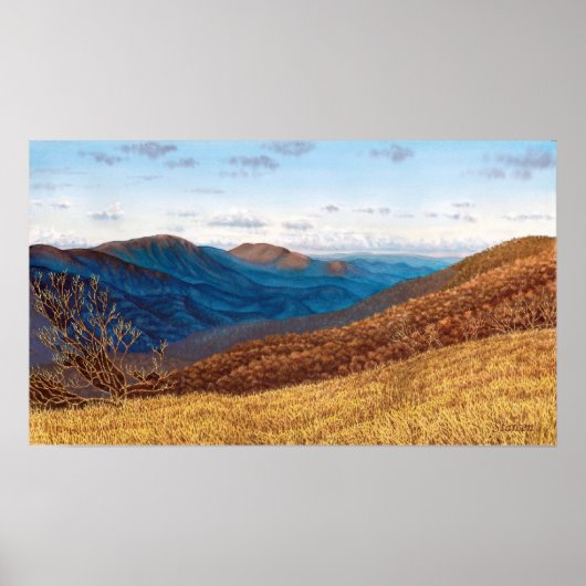 Midden-rong Wilderness Poster (Voorkant)