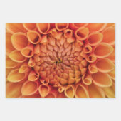 Midden Sinaasappel Dahlia Flower Inpakpapier Vel (Voorkant 3)