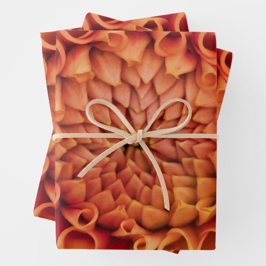 Midden Sinaasappel Dahlia Flower Inpakpapier Vel (In situ)