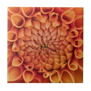 Midden Sinaasappel Dahlia Flower Tegeltje
