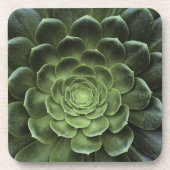 Midden van Cactus Bier Onderzetter (Voorkant)