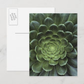 Midden van Cactus Briefkaart (Voorkant / Achterkant)