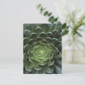 Midden van Cactus Briefkaart (Staand voorkant)