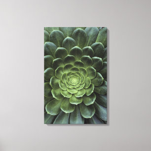 Midden van Cactus Canvas Afdruk