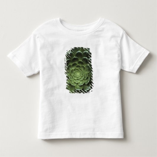 Midden van Cactus Kinder Shirts (Voorkant)