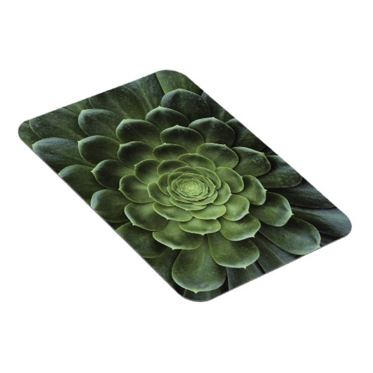 Midden van Cactus Magneet (Rechterzijde)