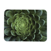 Midden van Cactus Magneet (Horizontaal)