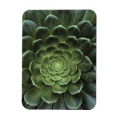 Midden van Cactus Magneet (Verticaal)