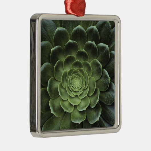 Midden van Cactus Metalen Ornament (Rechts)