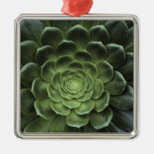 Midden van Cactus Metalen Ornament (Voorkant)