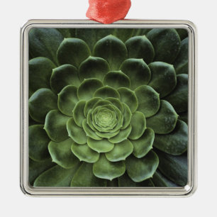 Midden van Cactus Metalen Ornament