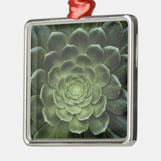 Midden van Cactus Metalen Ornament (Links)