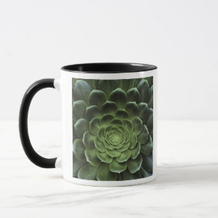 Midden van Cactus Mok