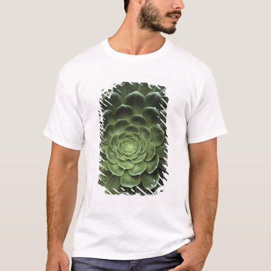 Midden van Cactus T-shirt (Voorkant)