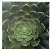 Midden van Cactus Tegeltje (Voorkant)