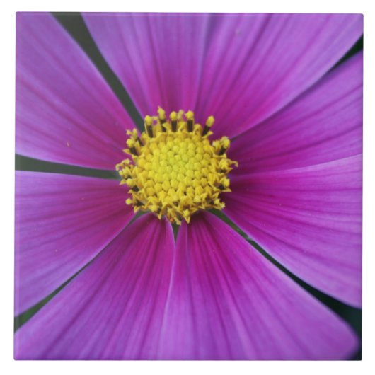 Midden van de Kosmos Tegel Tegeltje (Voorkant)