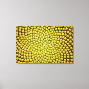 Midden van de zonnebloem (Helianthus annuus) Canvas Afdruk