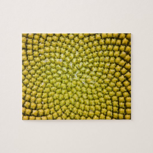 Midden van de zonnebloem (Helianthus annuus) Legpuzzel (Horizontaal)