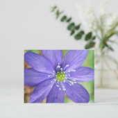 Midden van een blauwe bloem met witte stempels briefkaart (Staand voorkant)